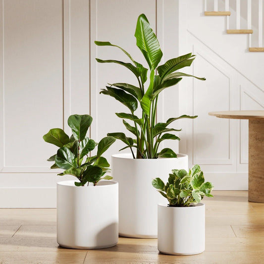 White Plant Pots Set of 3 – Indoor & Outdoor, 10", 8", 6" with Drainage Hole and Plug
