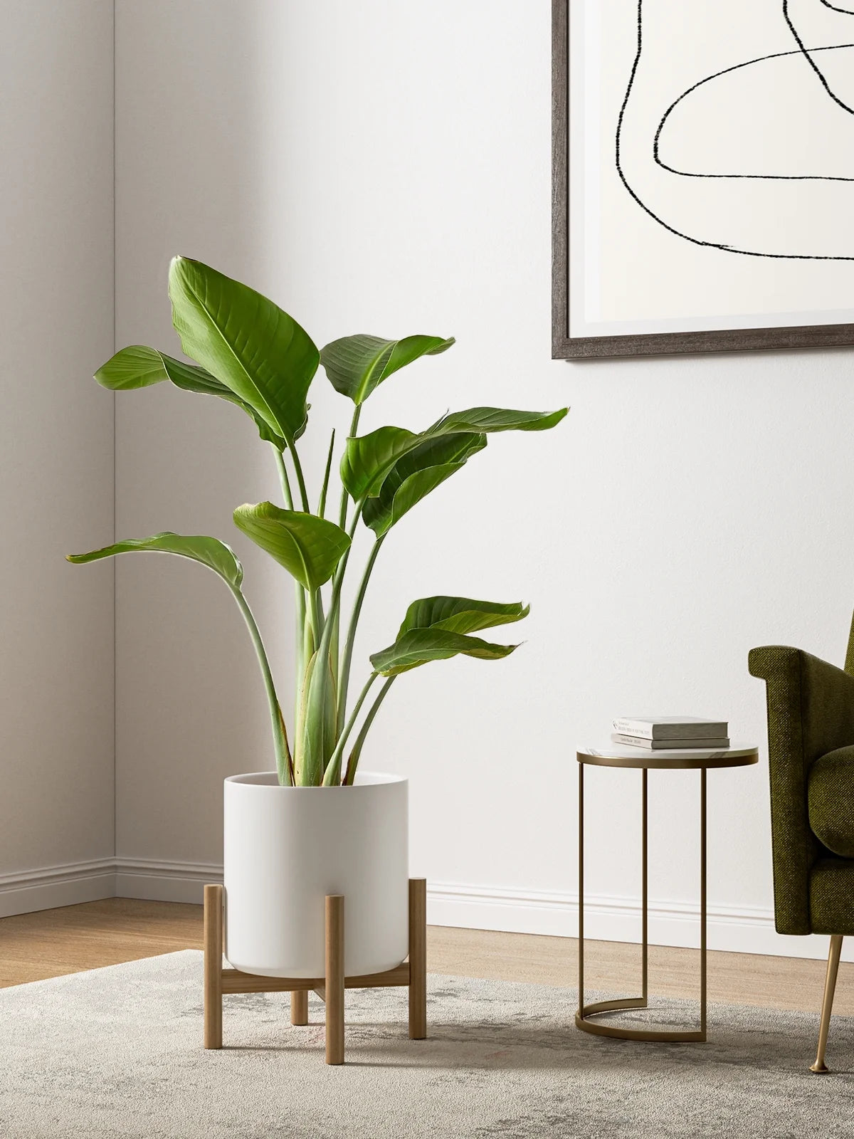 White Plant Pots Set of 3 – Indoor & Outdoor, 10", 8", 6" with Drainage Hole and Plug